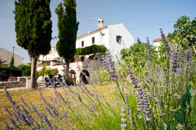 Pape Punat Apartmani I Sobe ภายนอก รูปภาพ