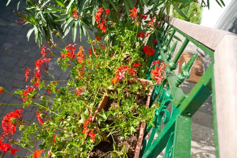 Pape Punat Apartmani I Sobe ภายนอก รูปภาพ