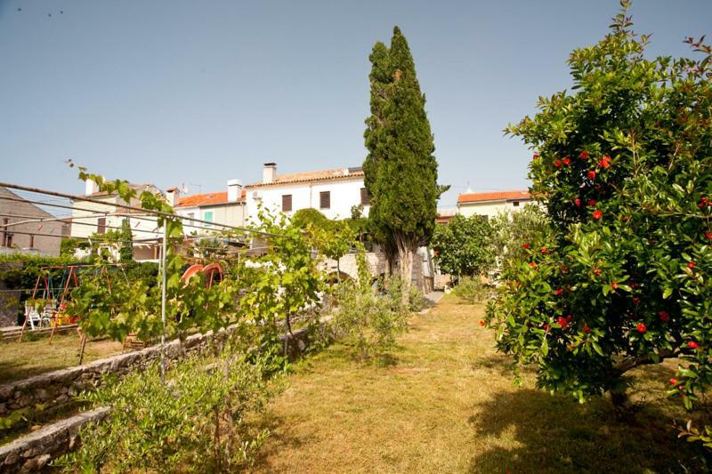 Pape Punat Apartmani I Sobe ภายนอก รูปภาพ